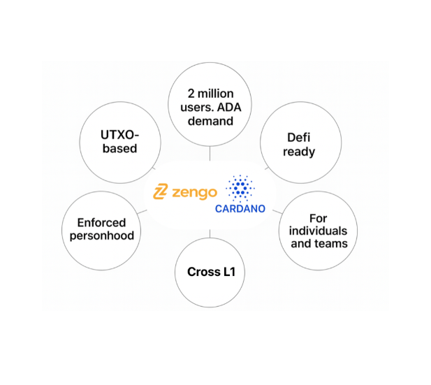 Zengo Cardano Pillars